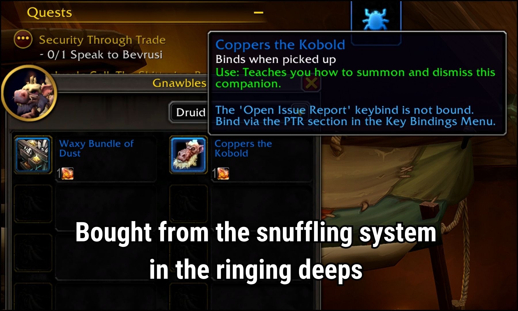 new vendor pet called coppers the kobold